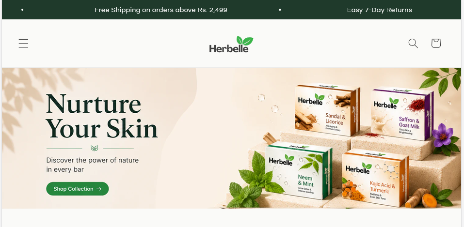 Premium Shopify Store Design & Setup